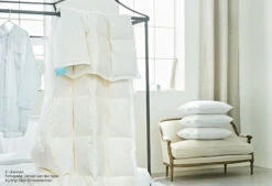 Dixxius 4-Seizoenen Green Royal By Vtwonen Dekbed 23 Dixxius 4-Seizoenen Green Royal By Vtwonen Dekbed -Comfort Beddengoed Winkel dekbedsfeer2 vtswiss 2030 1