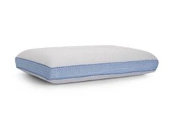 Dixxius Support Traagschuim Two Season Hoofdkussen 10 Dixxius Support Traagschuim Two Season Hoofdkussen -Comfort Beddengoed Winkel dixxius hk traagschuim 2seizoenen 2