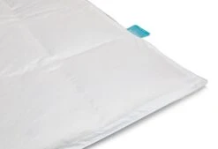 Dixxius 4-Seizoenen Green Royal By Vtwonen Dekbed 19 Dixxius 4-Seizoenen Green Royal By Vtwonen Dekbed -Comfort Beddengoed Winkel dixxius green royal dekbed 4 seizoenen 7