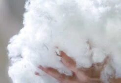 Dixxius Comfort Box Ecodown Hoofdkussen -Comfort Beddengoed Winkel ecodown vulling