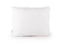 Dixxius Comfort Box Ecodown Hoofdkussen -Comfort Beddengoed Winkel ecodown 60x70 box staand 2000x1366 1