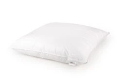 Dixxius Comfort Ecodown Hoofdkussen 14 Dixxius Comfort Ecodown Hoofdkussen -Comfort Beddengoed Winkel ecodown 80x80 liggend 2000x1366 1